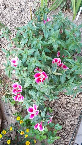 20180708_172938.jpg