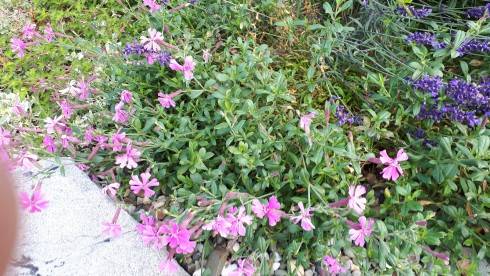 20180702_160339.jpg