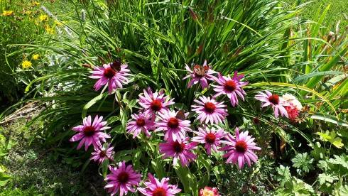 20180702_092316.jpg