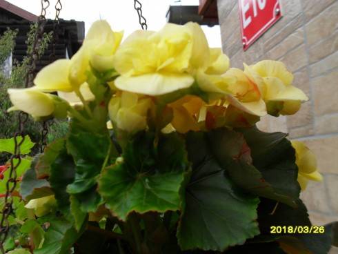 SDC10912.JPG