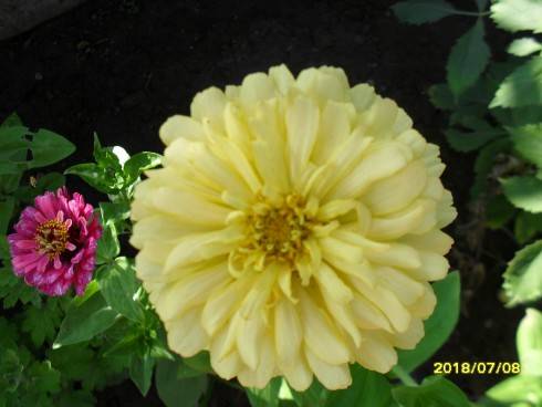SDC10970.JPG