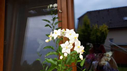 20180711_084257.jpg