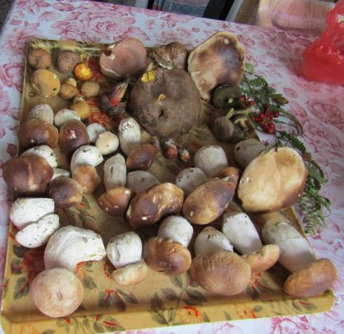 IMG_5343.JPG