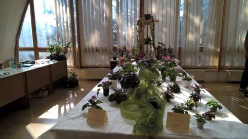WP_20180928_12_24_03_Pro[1].jpg