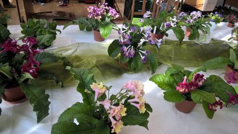 WP_20180928_12_25_07_Pro[1].jpg
