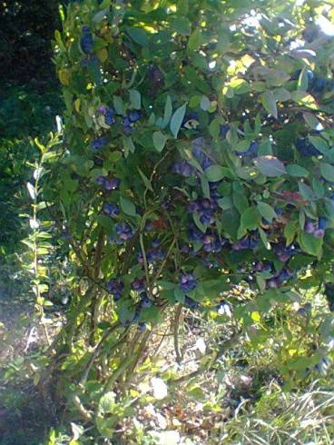 Foto.0442.jpg