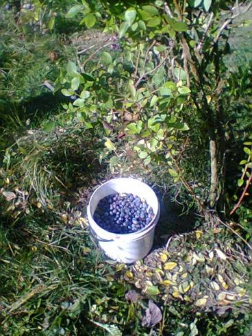 Foto.0445.jpg