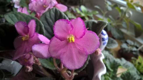 WP_20181110_12_17_01_Pro[1].jpg