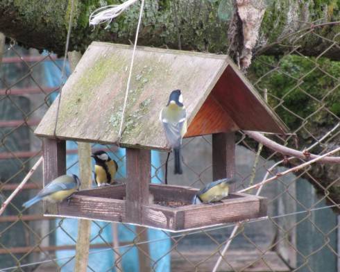 IMG_6393.JPG