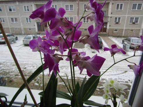 IMG_6544.JPG