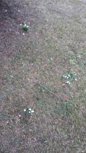 20190305_145431.jpg
