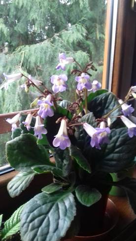 20190305_150311.jpg