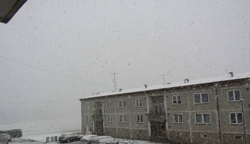 IMG_7271.JPG