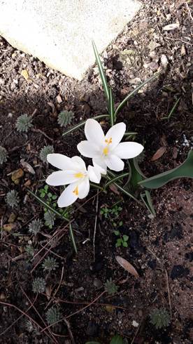 20190317_123045.jpg