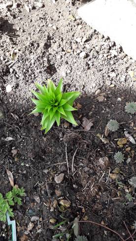 20190317_123048.jpg