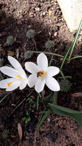 20190317_123132.jpg