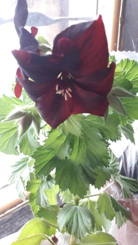 20190316_141142.jpg