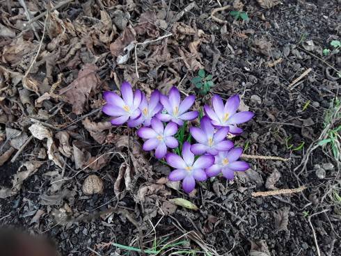 20190317_114859.jpg