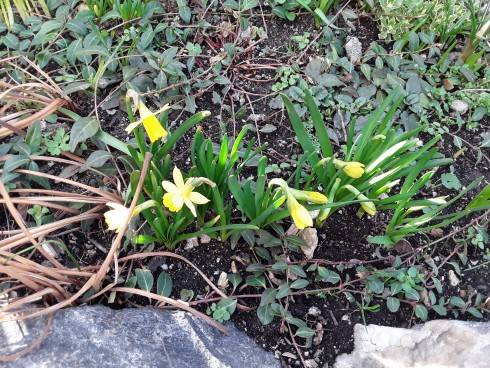 20190317_091955.jpg