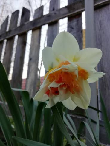 IMG_20190404_163039.jpg
