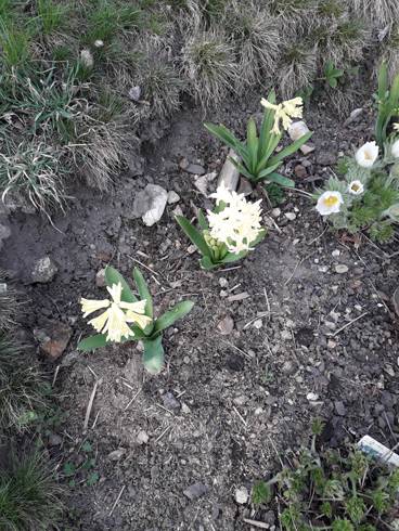 20190331_164844.jpg