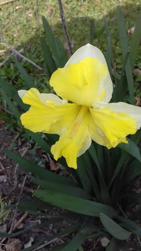 20190403_145817.jpg