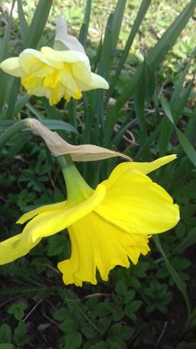 20190405_145341.jpg