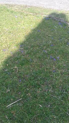 20190405_145633.jpg
