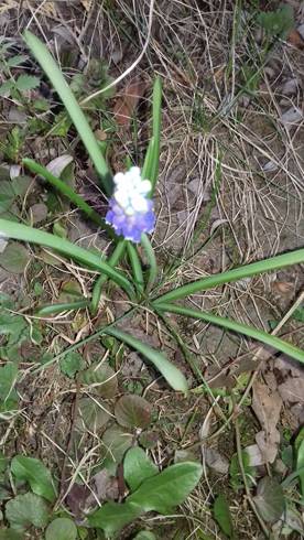20190409_190227.jpg