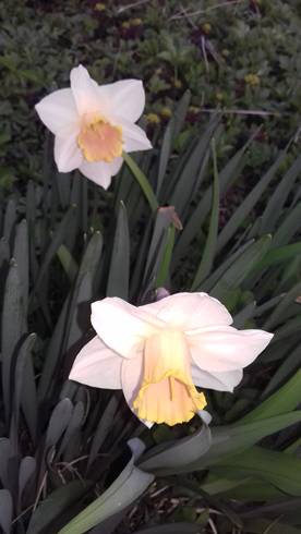 20190409_190330.jpg