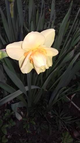 20190409_190415.jpg