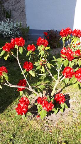 20190419_162507.jpg