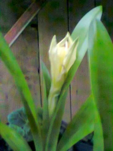Foto.0724.jpg