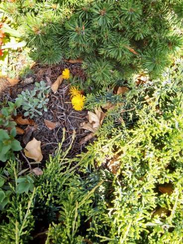 IMG_20190519_102503 (1).jpg