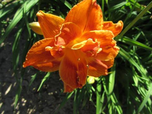 IMG_6252.JPG