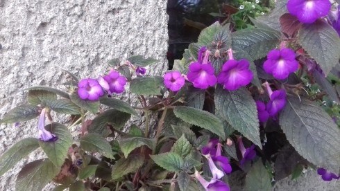 20190906_163737.jpg