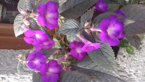 20190906_163343.jpg
