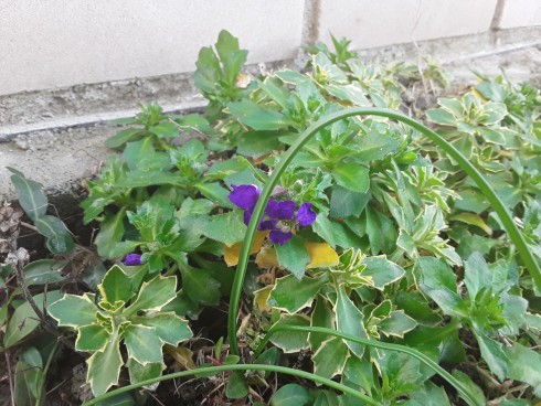 20200202_105016.jpg
