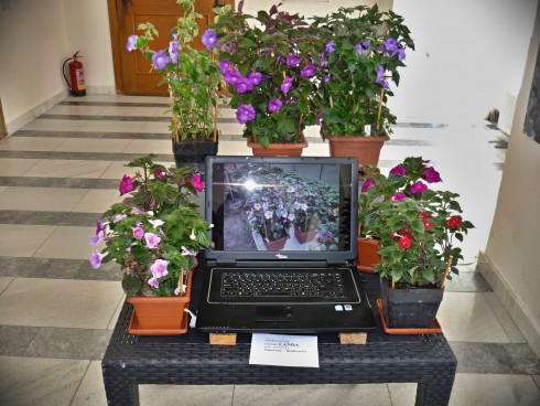 P1360092.JPG