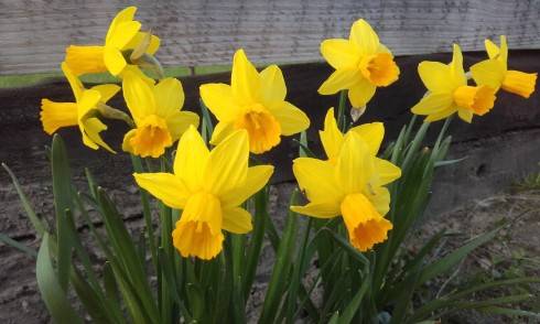 20160403_174321.jpg