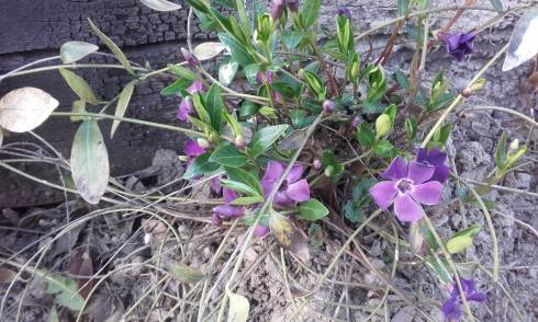 20160403_174300.jpg