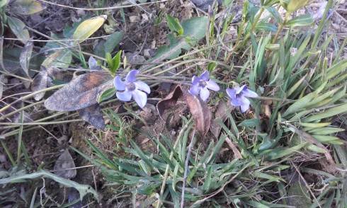 20160403_174249.jpg