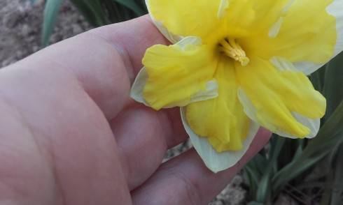 20160331_174721.jpg