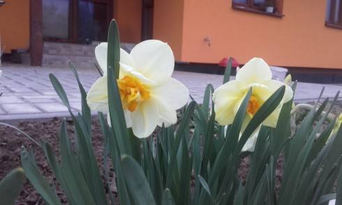 20160412_190850.jpg
