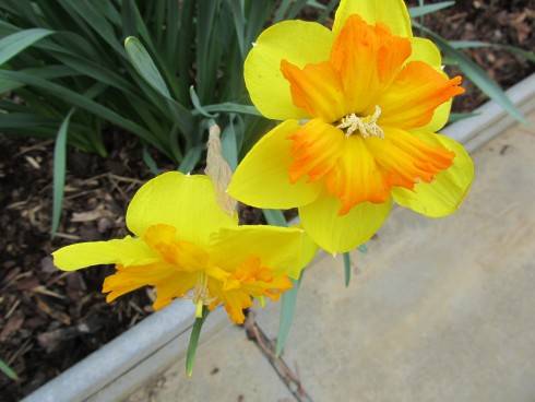 IMG_5073.JPG