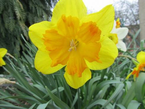 IMG_5077.JPG