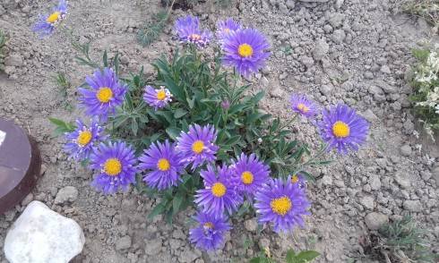 20160524_193458.jpg