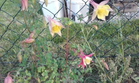 20160524_193538.jpg