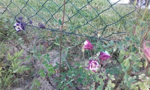 20160524_193544.jpg