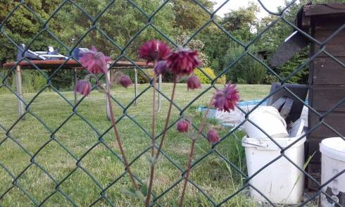 20160524_193549.jpg